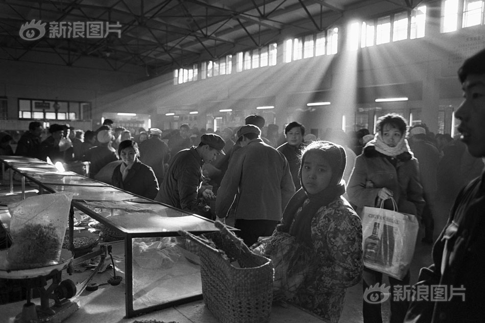 极限竞速地平线5淘汰之王模式怎么玩