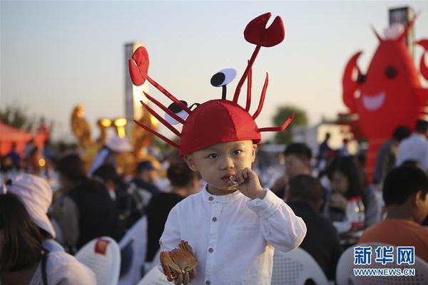 太阁立志传ⅤDX达成生于大地结局有什么条件